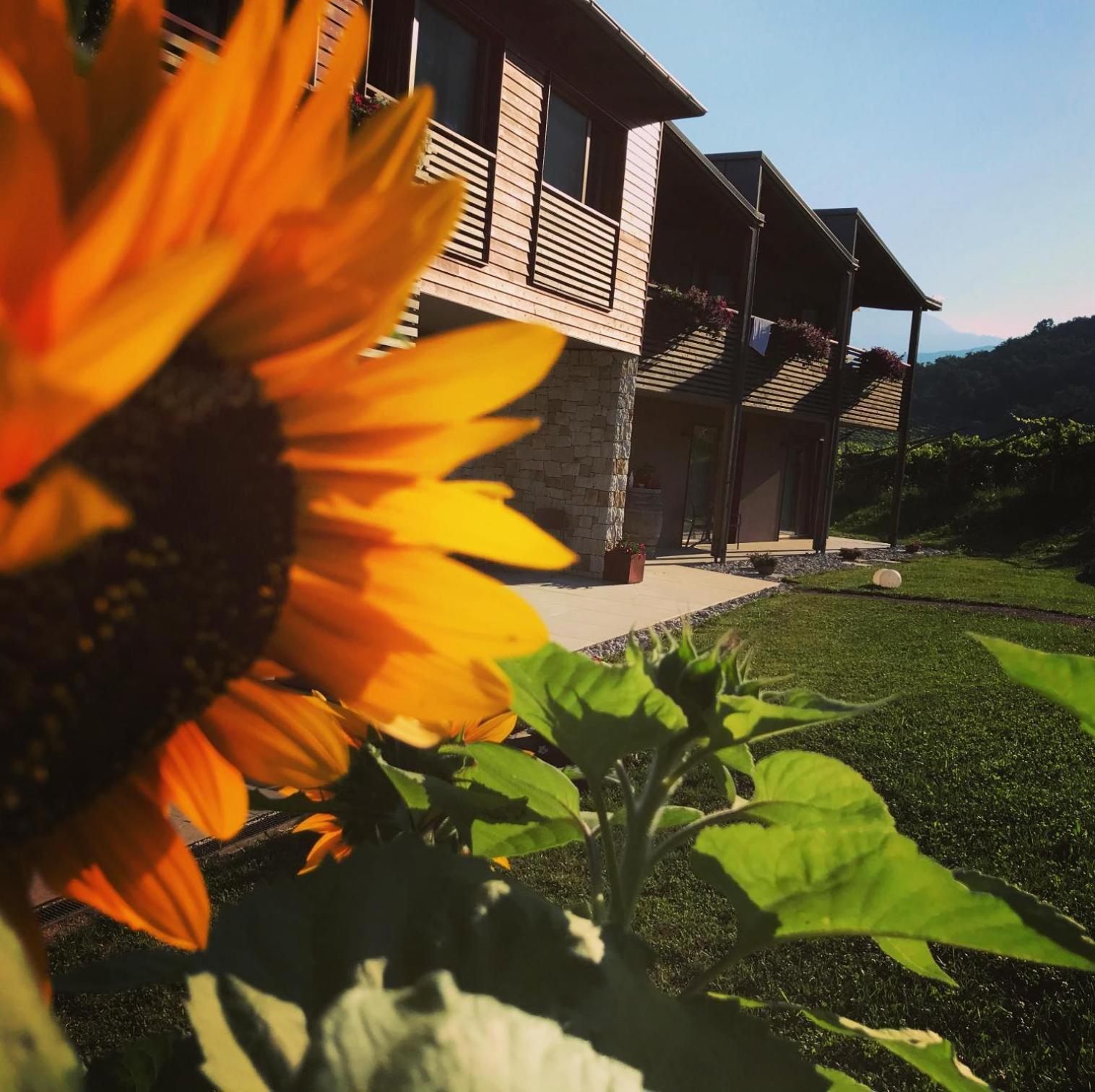 Agritur Verderame Trento Eksteriør bilde
