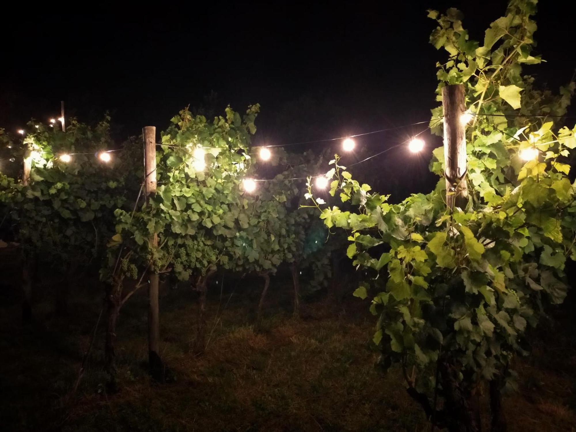 Agritur Verderame Trento Eksteriør bilde