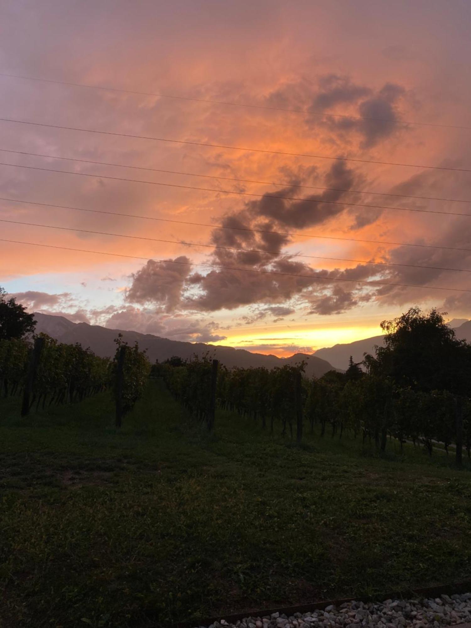 Agritur Verderame Trento Eksteriør bilde